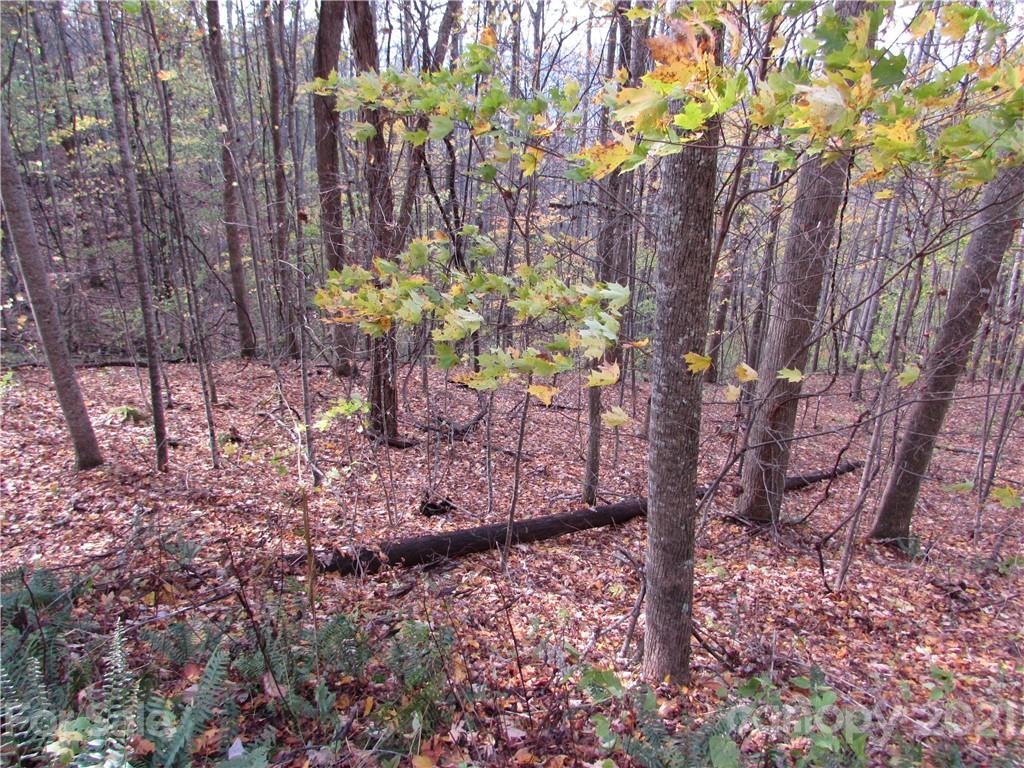 E- 15 Red Wolf Run Mars Hill NC 28754