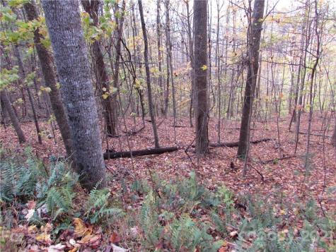 E- 15 Red Wolf Run Mars Hill NC 28754