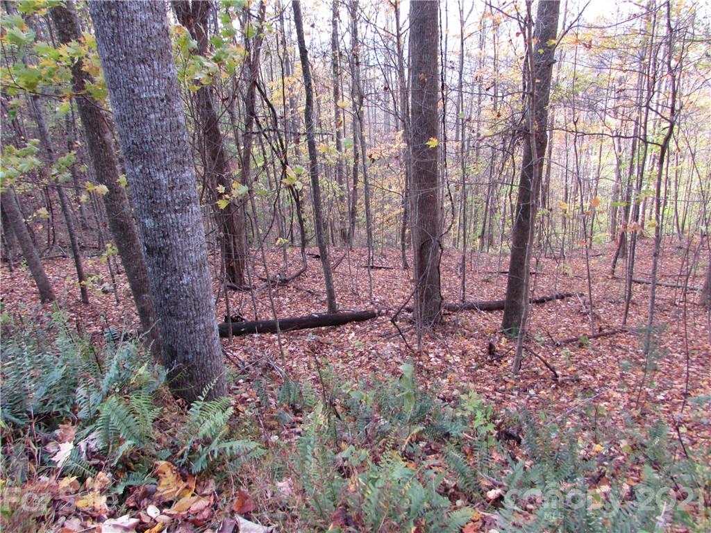 E- 15 Red Wolf Run Mars Hill NC 28754