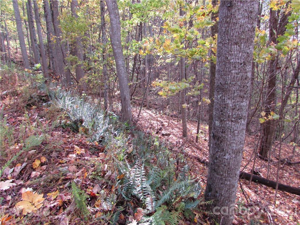 E- 15 Red Wolf Run Mars Hill NC 28754