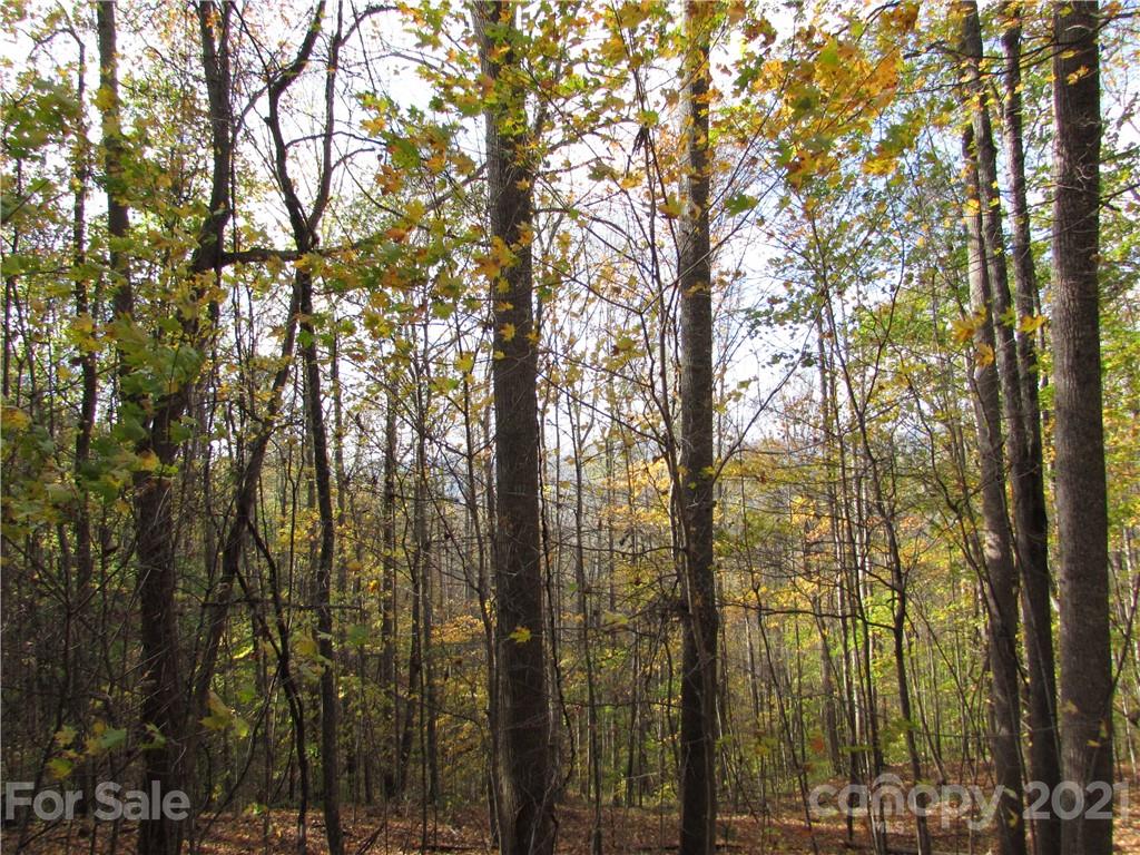 E- 15 Red Wolf Run Mars Hill NC 28754