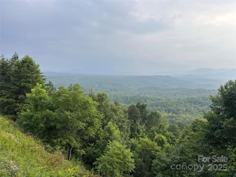 0 Golden Ridge Drive Lake Lure NC 28746