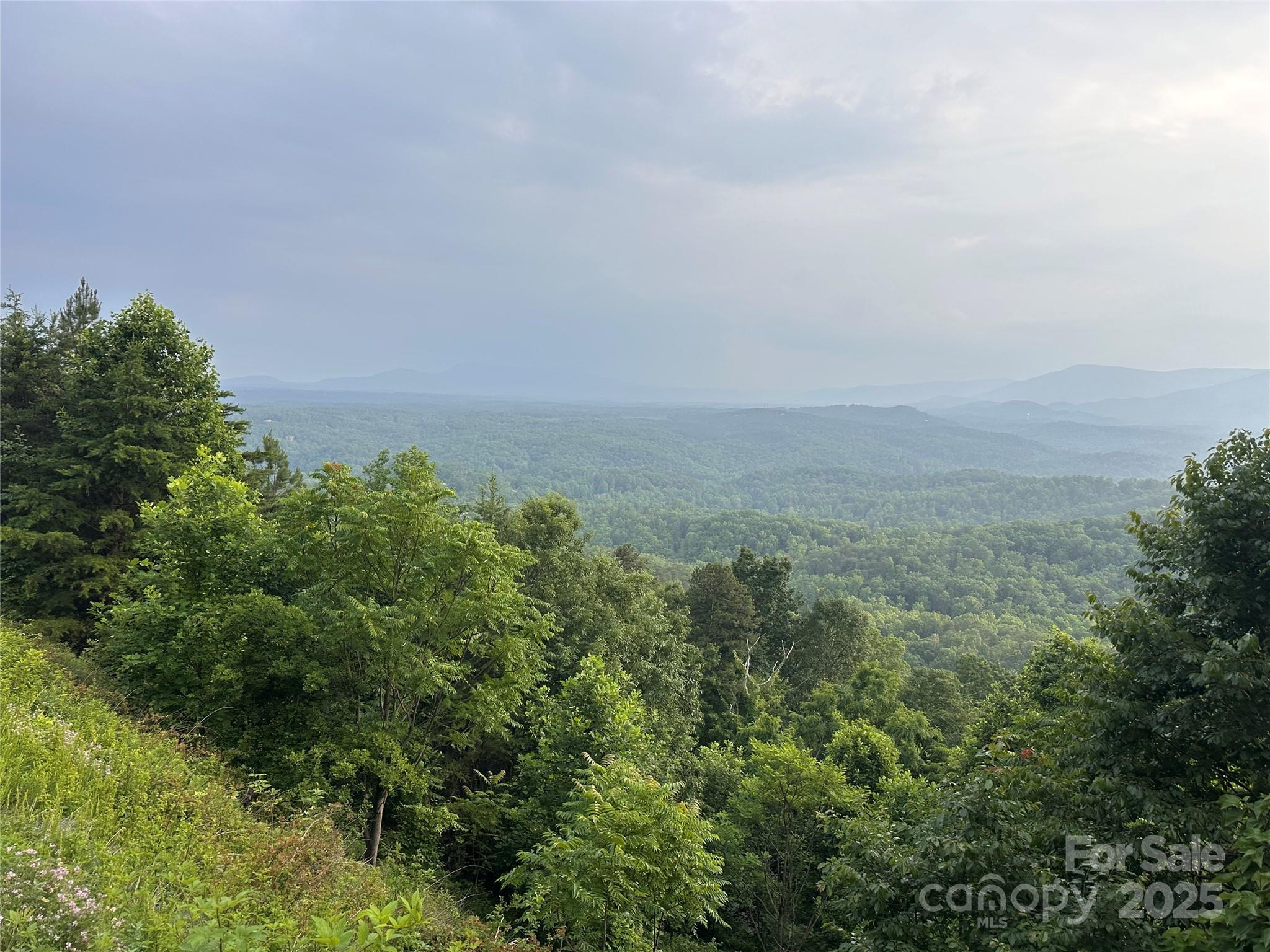0 Golden Ridge Drive Lake Lure NC 28746