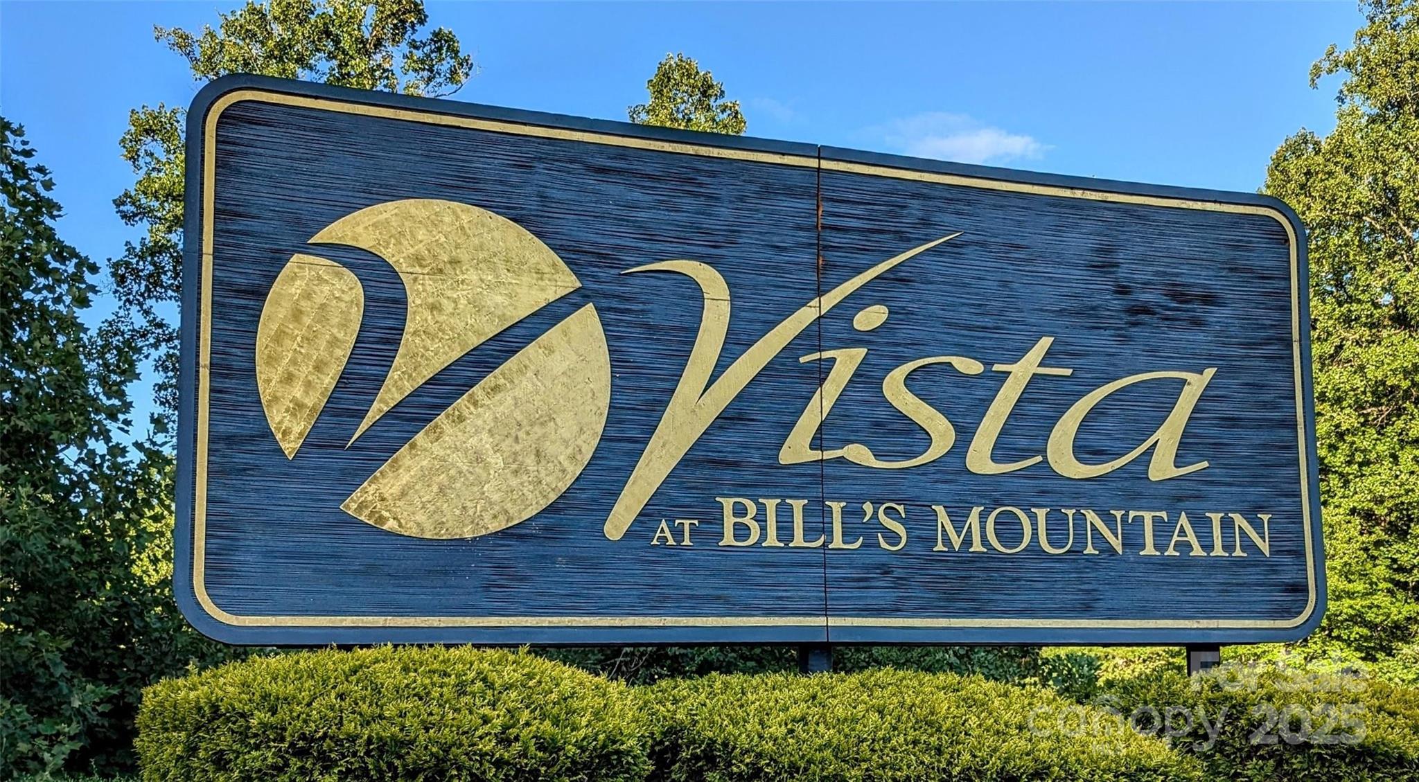 0 Golden Ridge Drive Lake Lure NC 28746