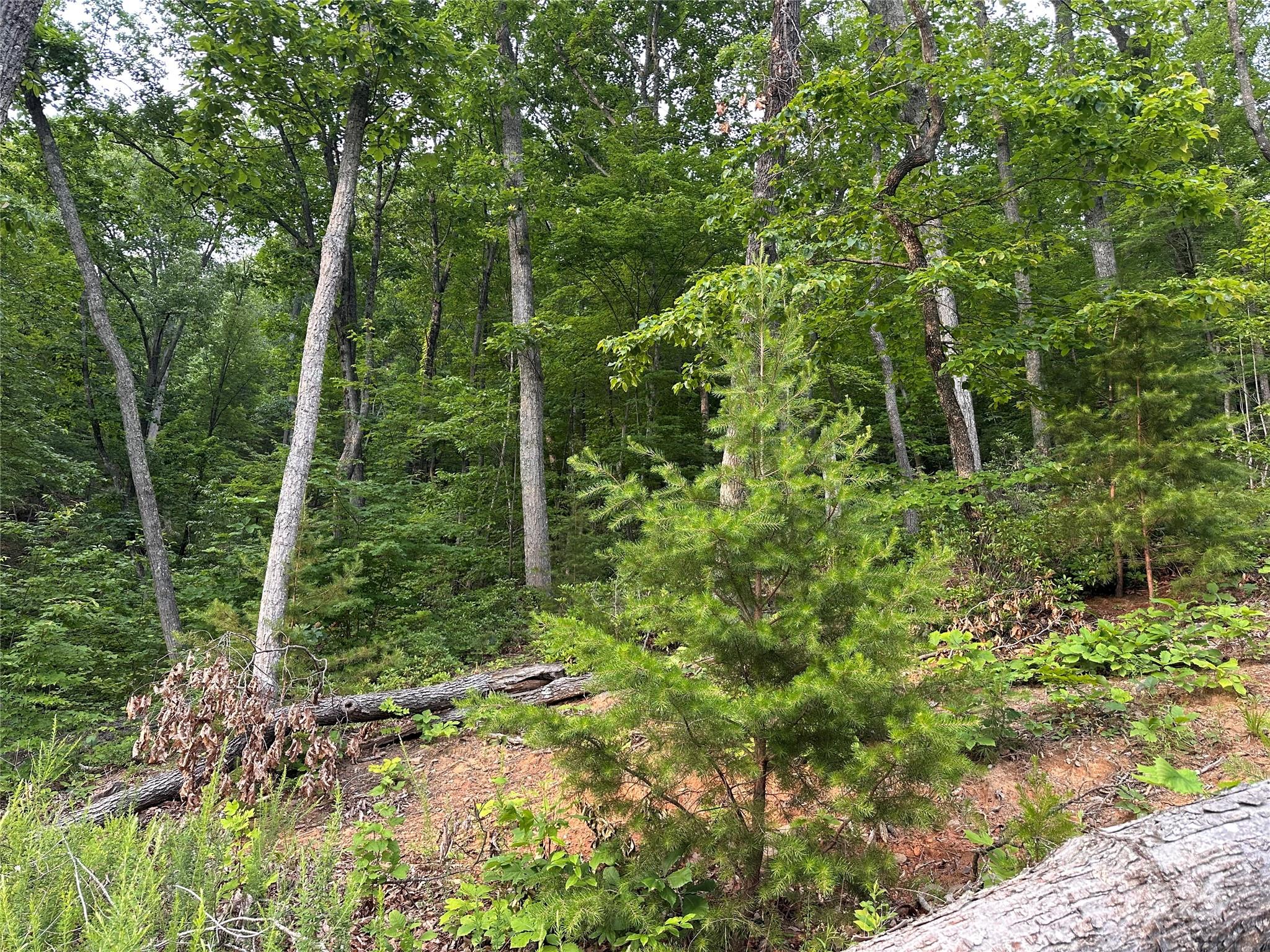 0 Golden Ridge Drive Lake Lure NC 28746