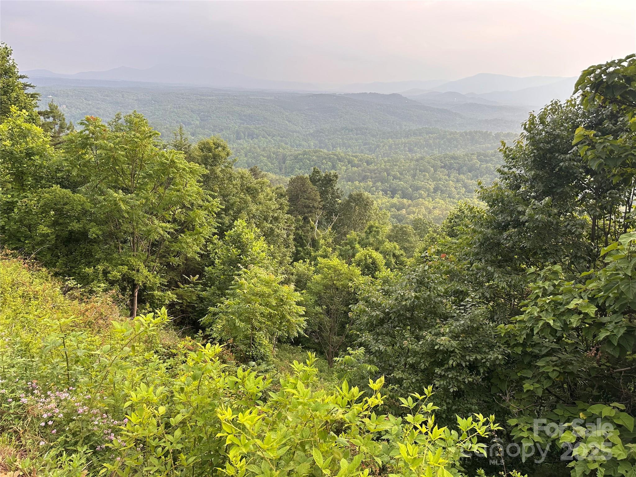 0 Golden Ridge Drive Lake Lure NC 28746
