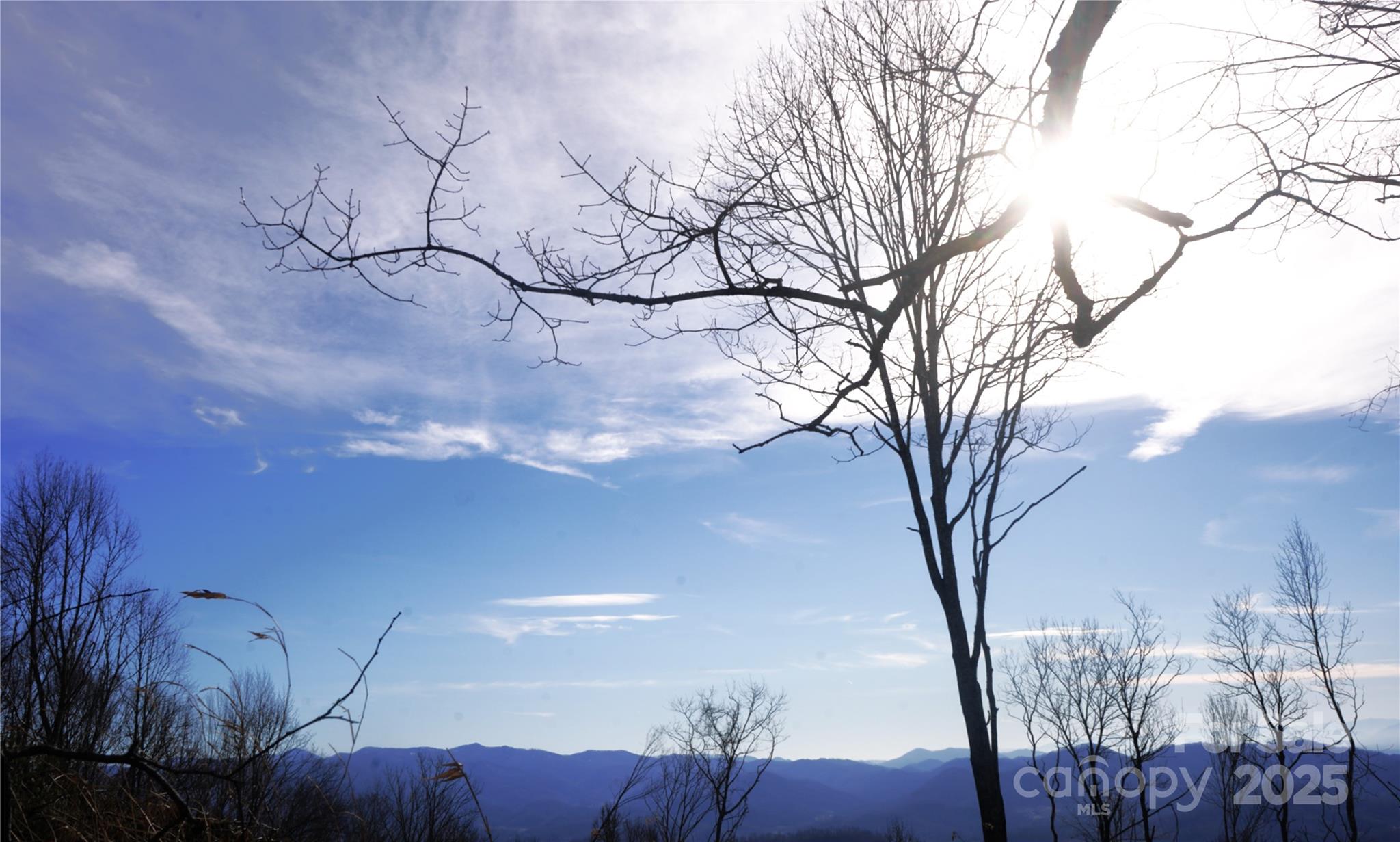SR-1386 W Sang Branch, Hog Branch Road W Burnsville NC 28714