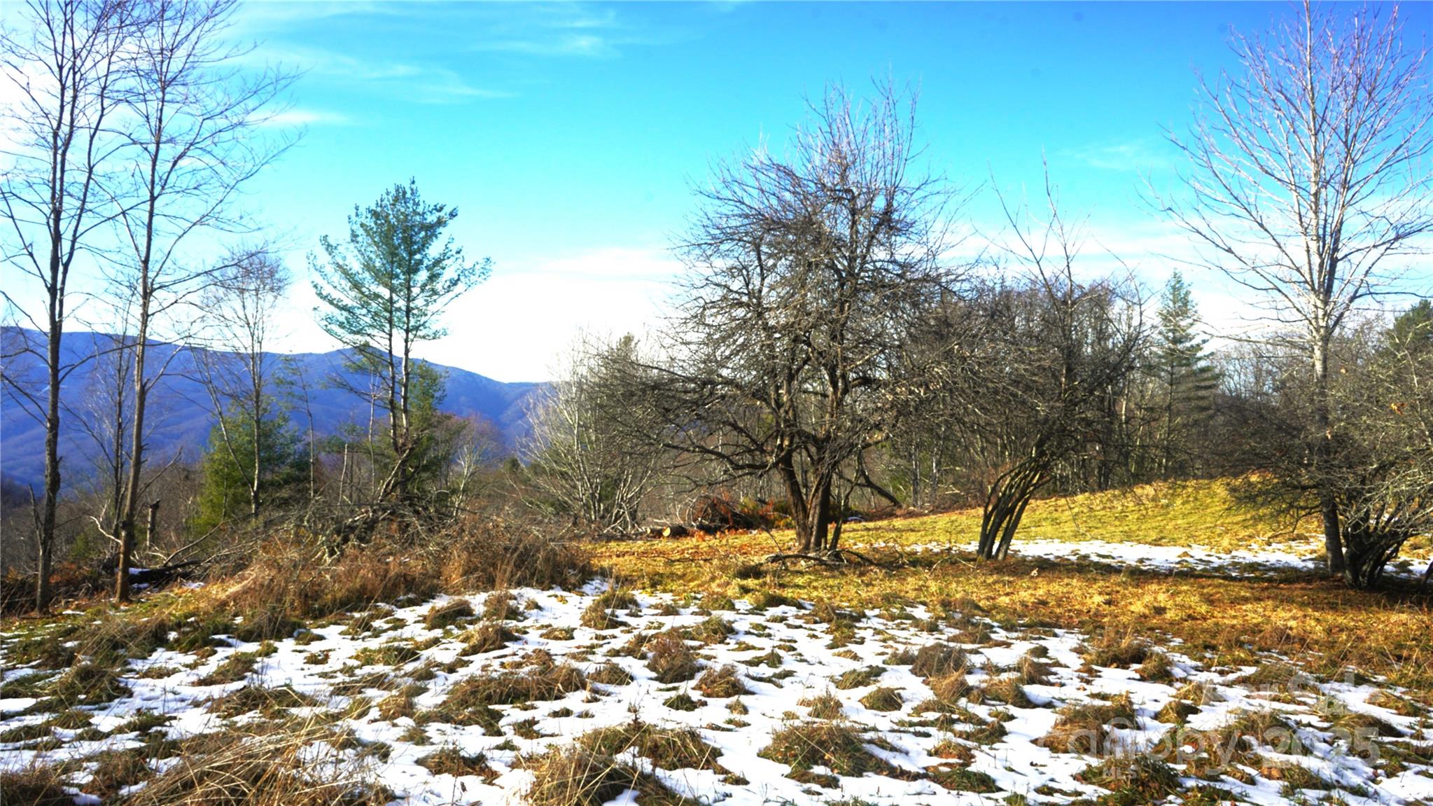 SR-1386 W Sang Branch, Hog Branch Road W Burnsville NC 28714