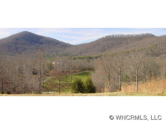 18 Rain Lily Trail Arden NC 28704