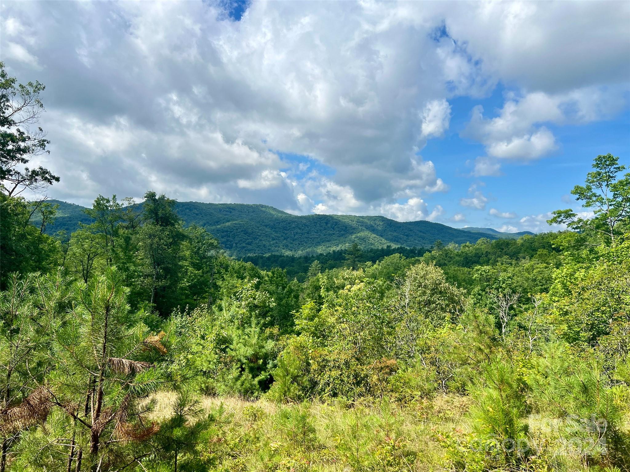 667 Laurel Thicket Lane Brevard NC 28712