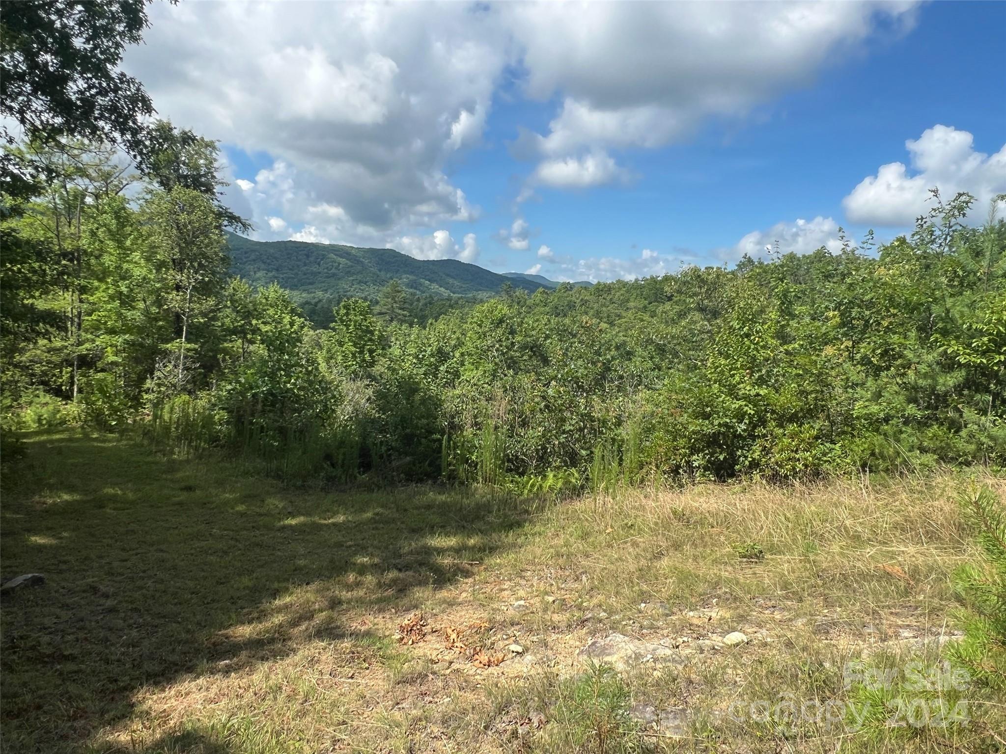 667 Laurel Thicket Lane Brevard NC 28712