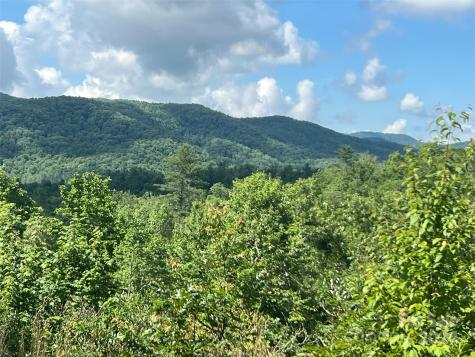 667 Laurel Thicket Lane Brevard NC 28712