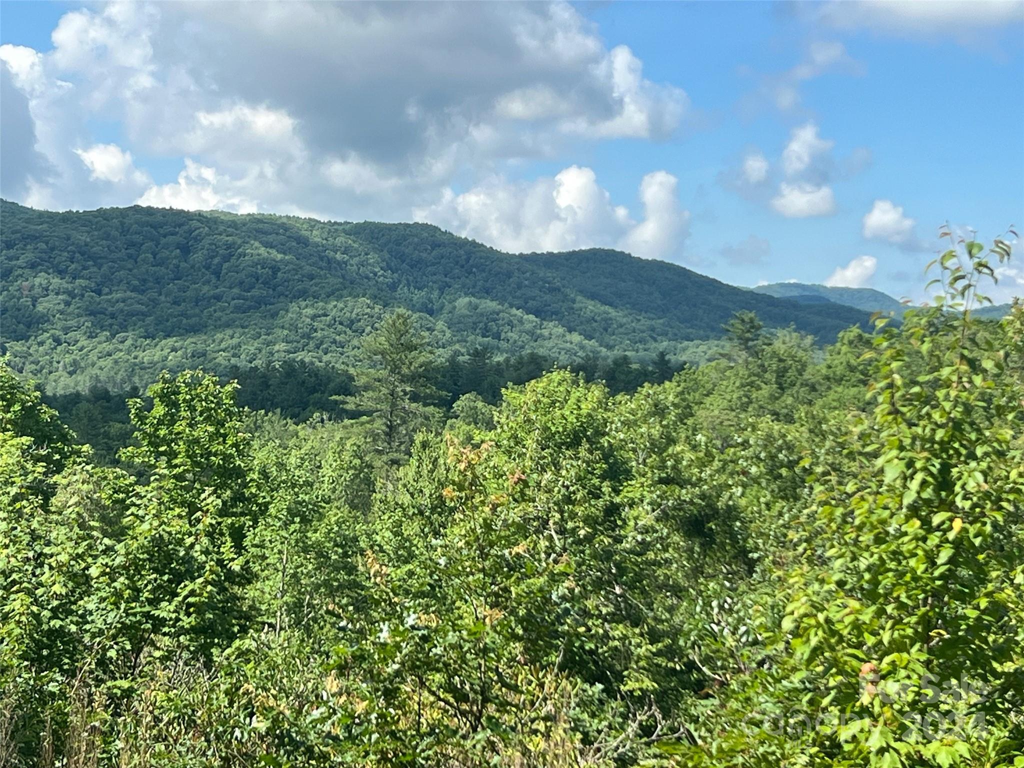 667 Laurel Thicket Lane Brevard NC 28712