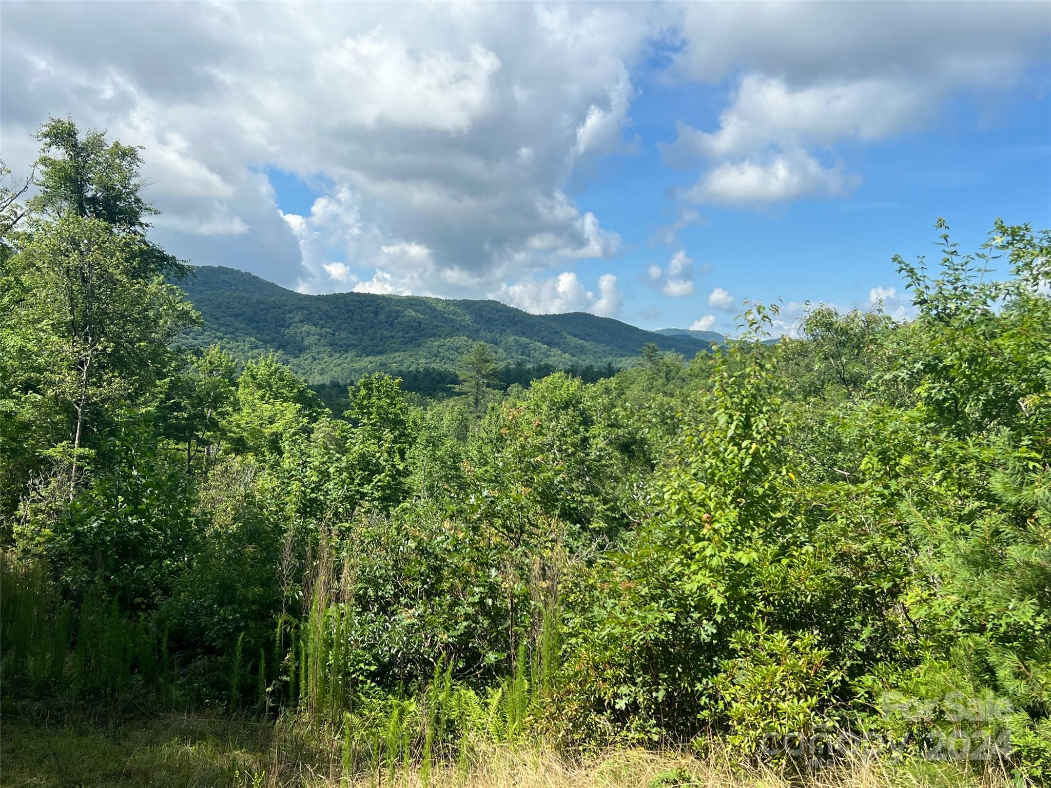667 Laurel Thicket Lane Brevard NC 28712