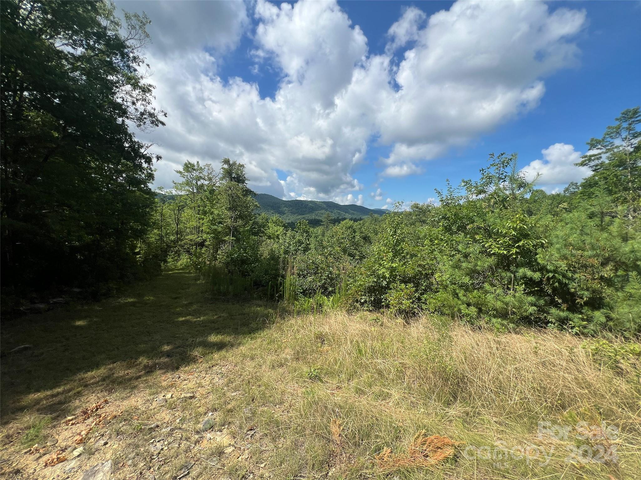 667 Laurel Thicket Lane Brevard NC 28712
