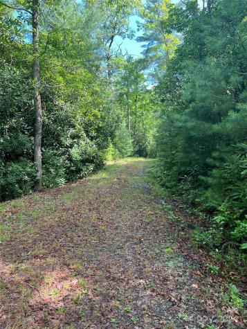 667 Laurel Thicket Lane Brevard NC 28712