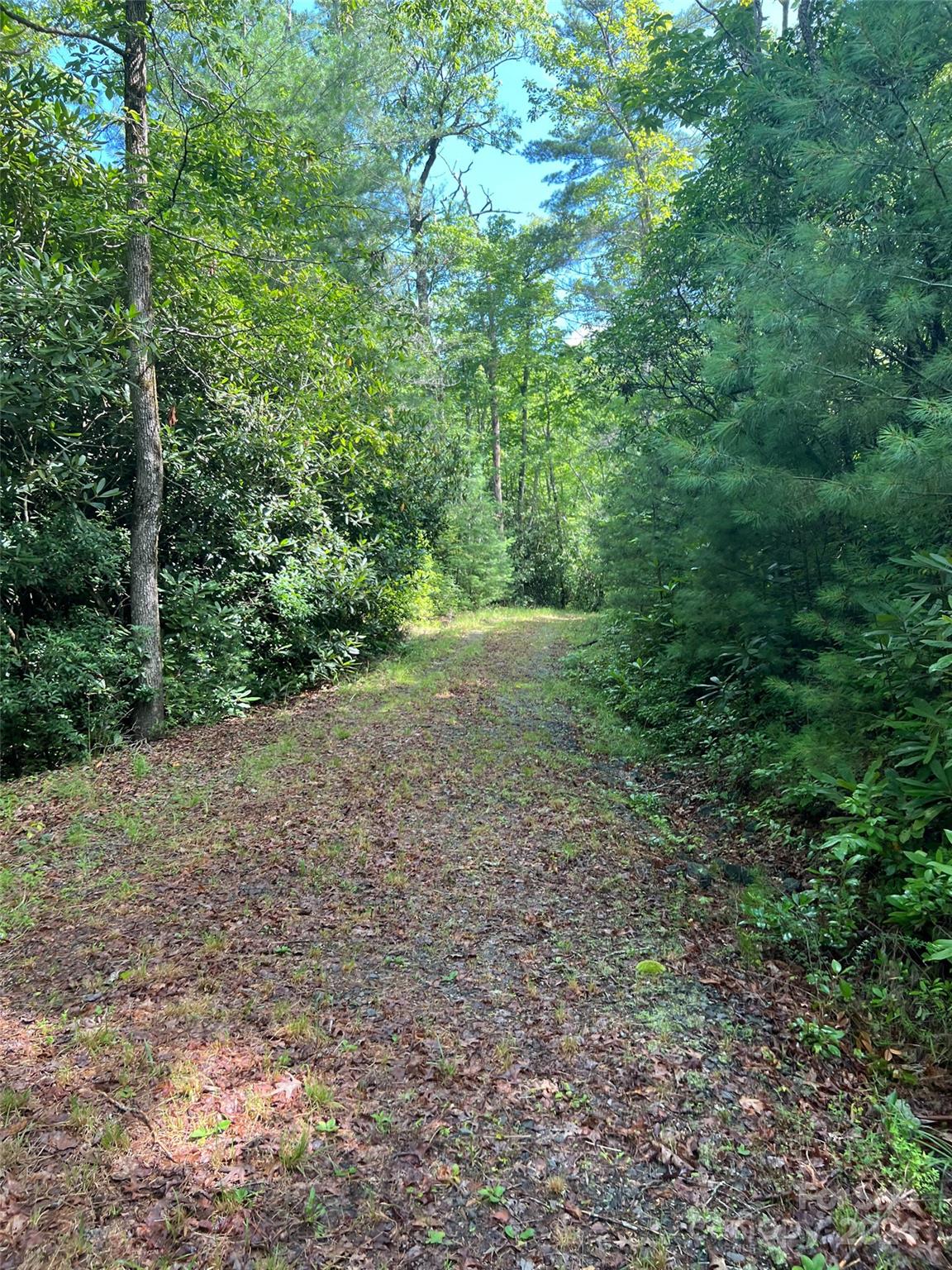 667 Laurel Thicket Lane Brevard NC 28712