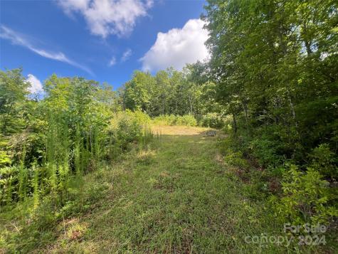 667 Laurel Thicket Lane Brevard NC 28712