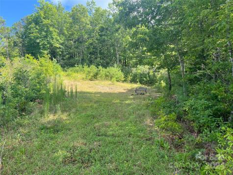 667 Laurel Thicket Lane Brevard NC 28712