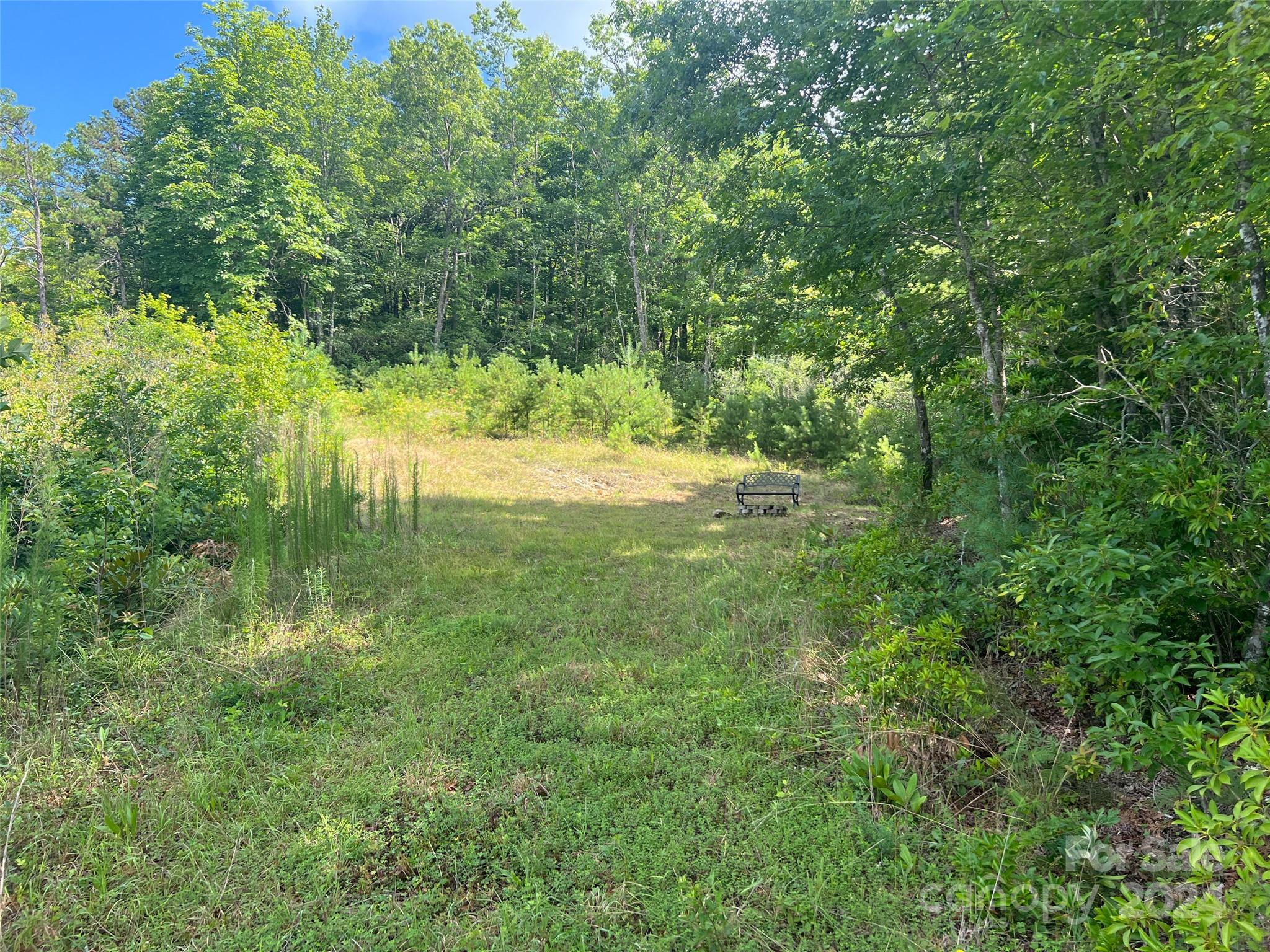 667 Laurel Thicket Lane Brevard NC 28712