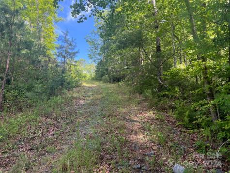 667 Laurel Thicket Lane Brevard NC 28712