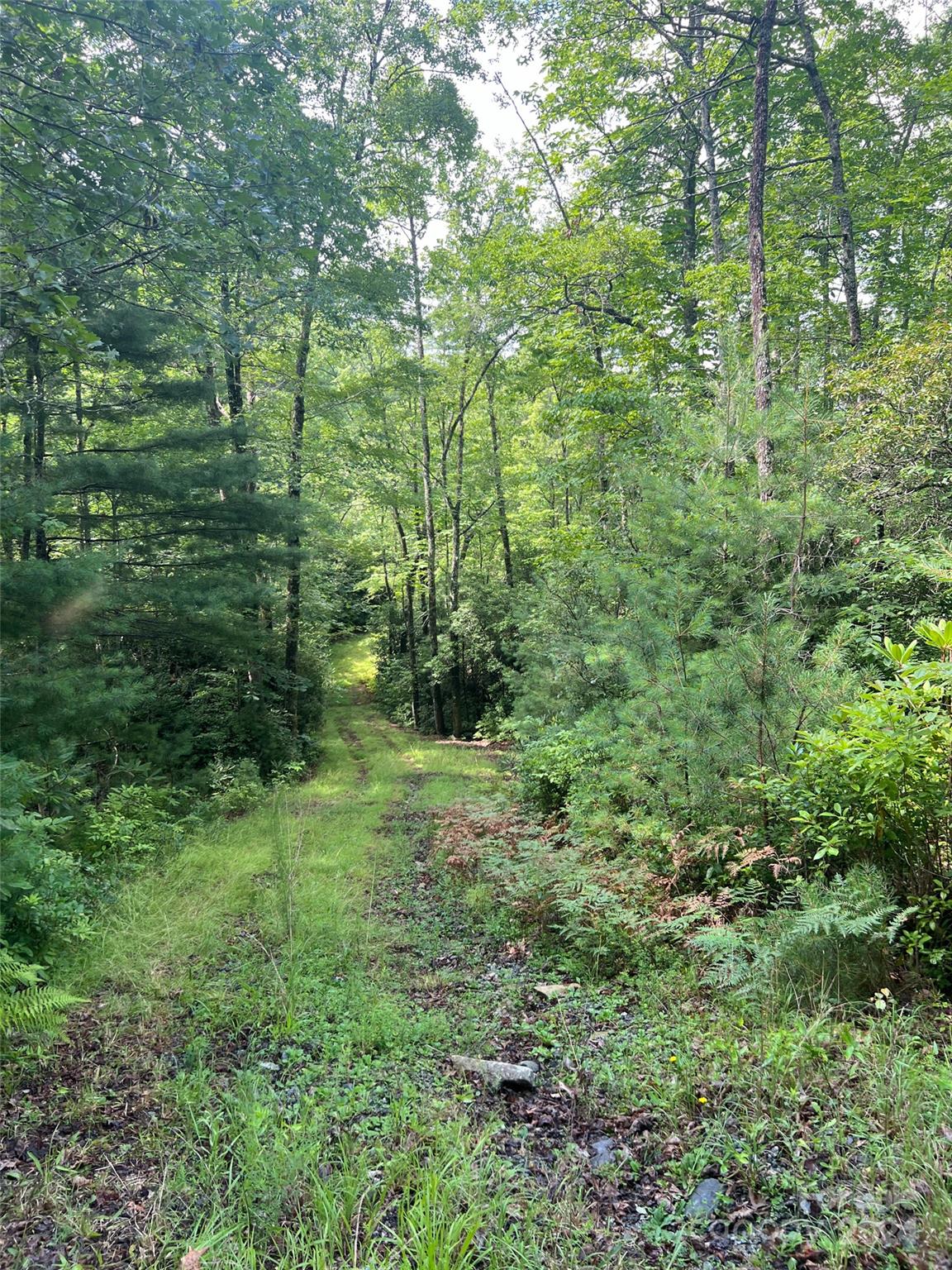 667 Laurel Thicket Lane Brevard NC 28712