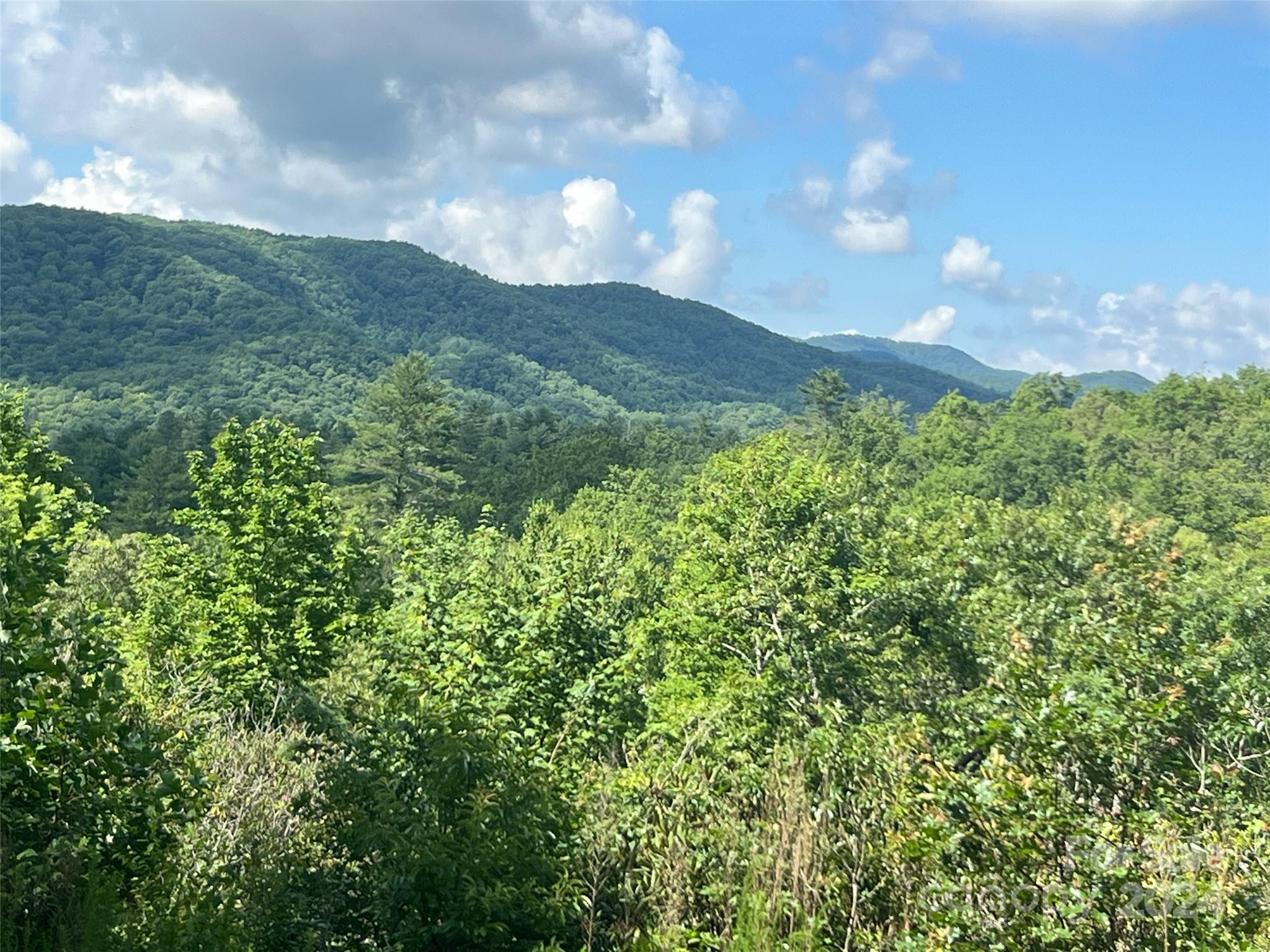 667 Laurel Thicket Lane Brevard NC 28712