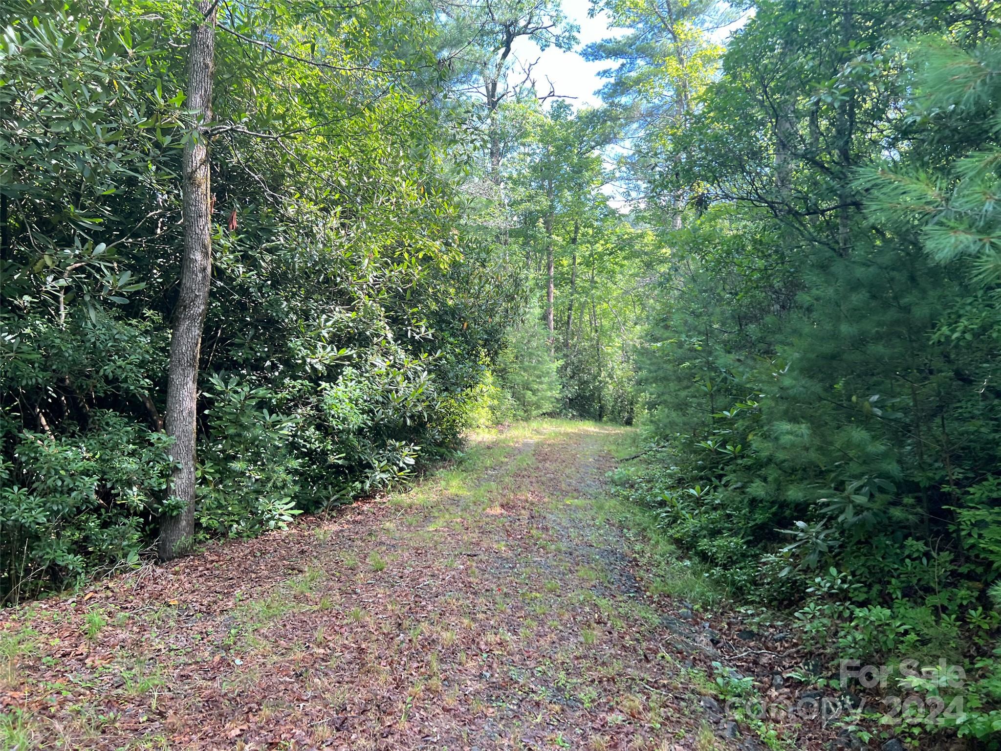 667 Laurel Thicket Lane Brevard NC 28712