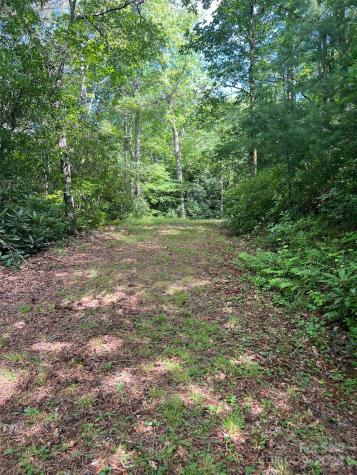 667 Laurel Thicket Lane Brevard NC 28712