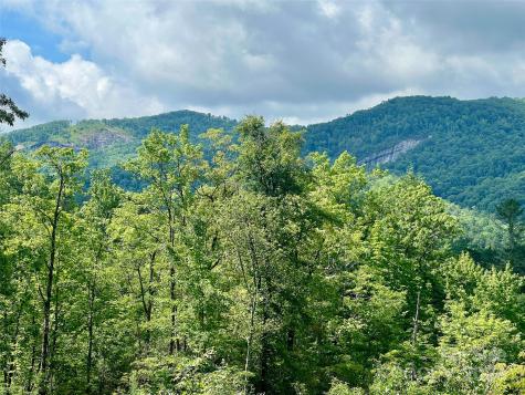 667 Laurel Thicket Lane Brevard NC 28712