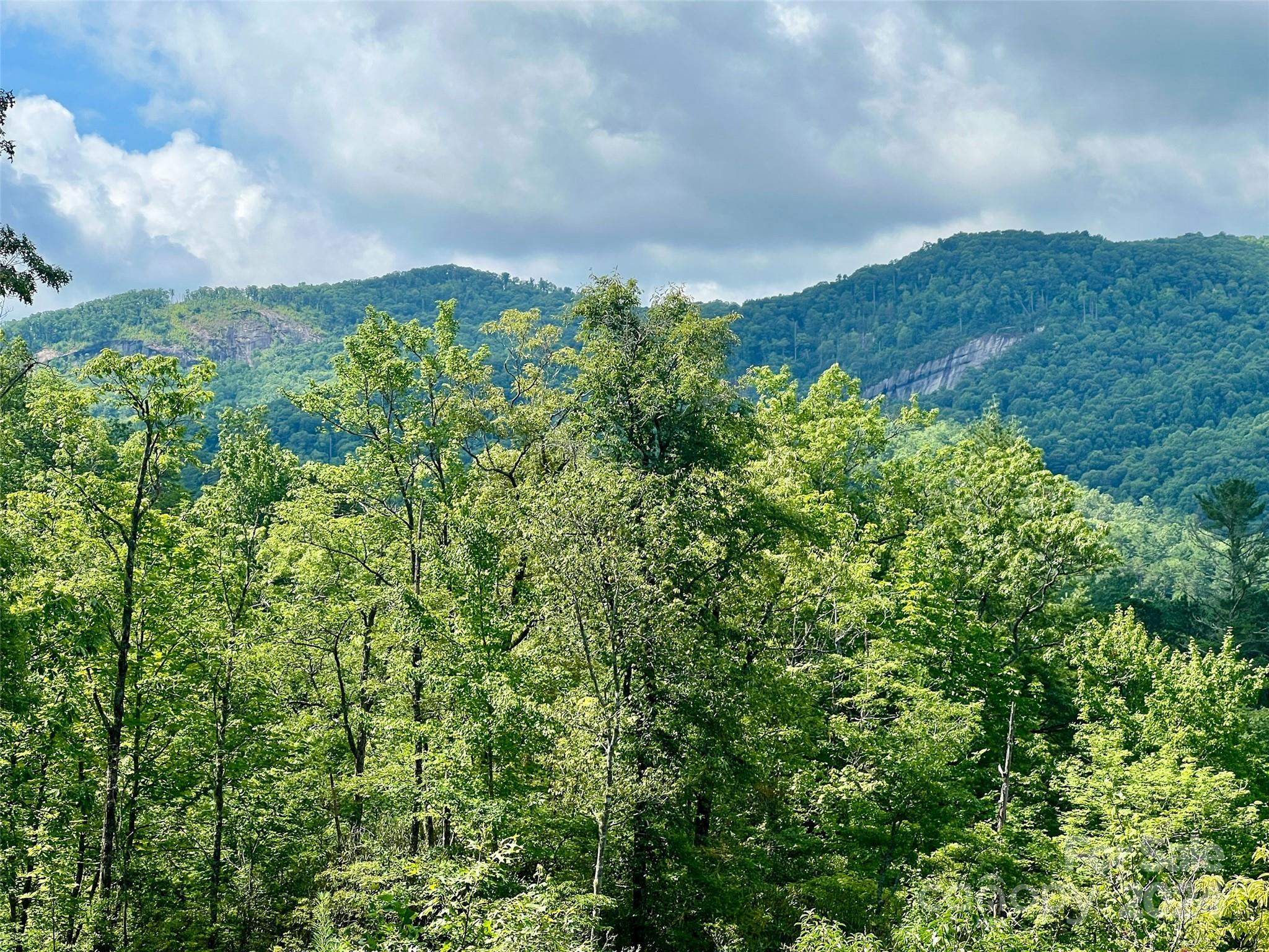 667 Laurel Thicket Lane Brevard NC 28712