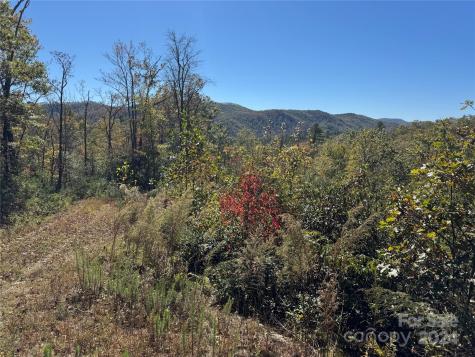 667 Laurel Thicket Lane Brevard NC 28712