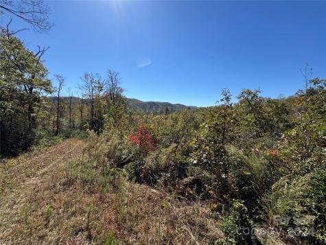 667 Laurel Thicket Lane Brevard NC 28712