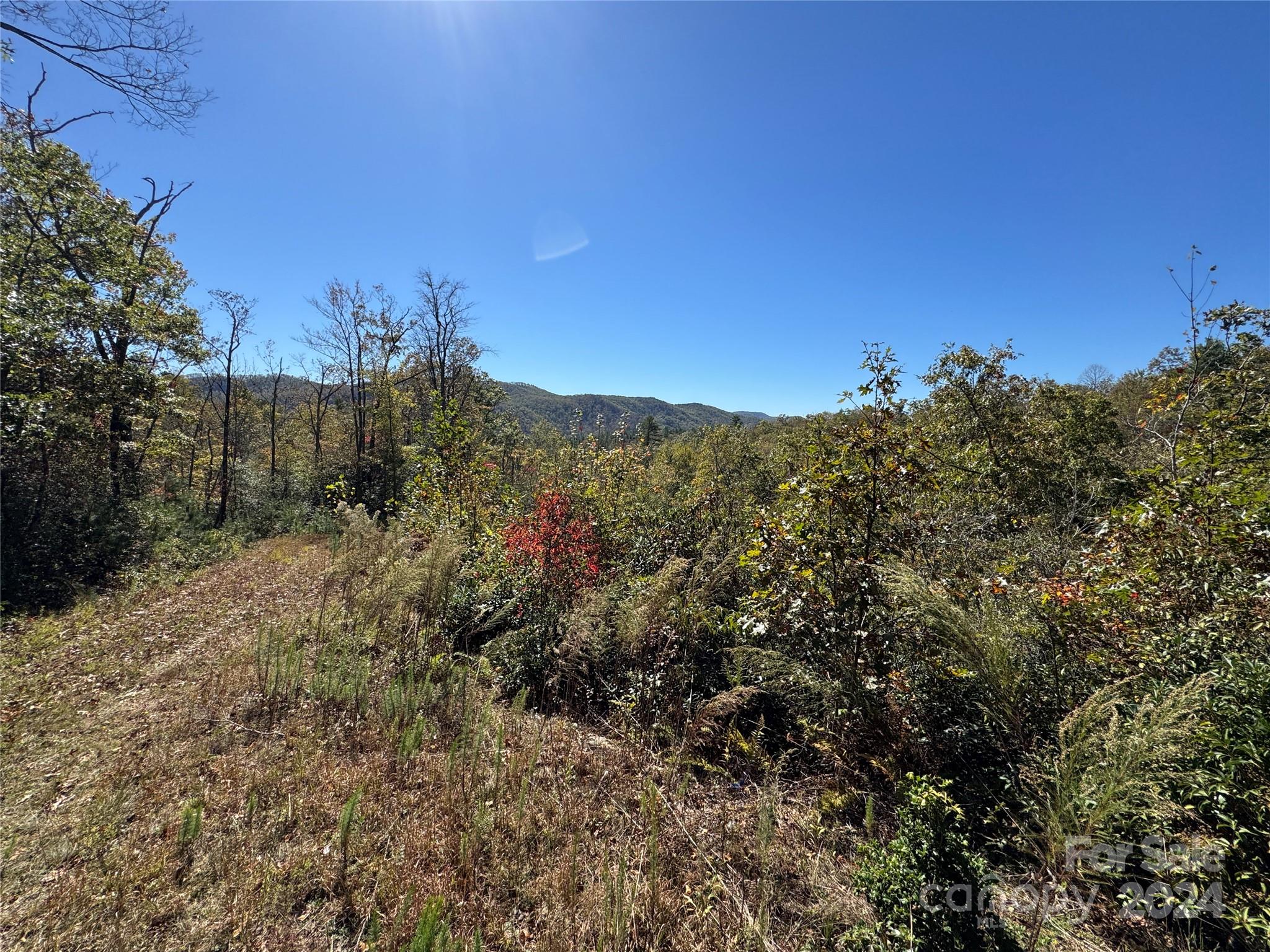 667 Laurel Thicket Lane Brevard NC 28712