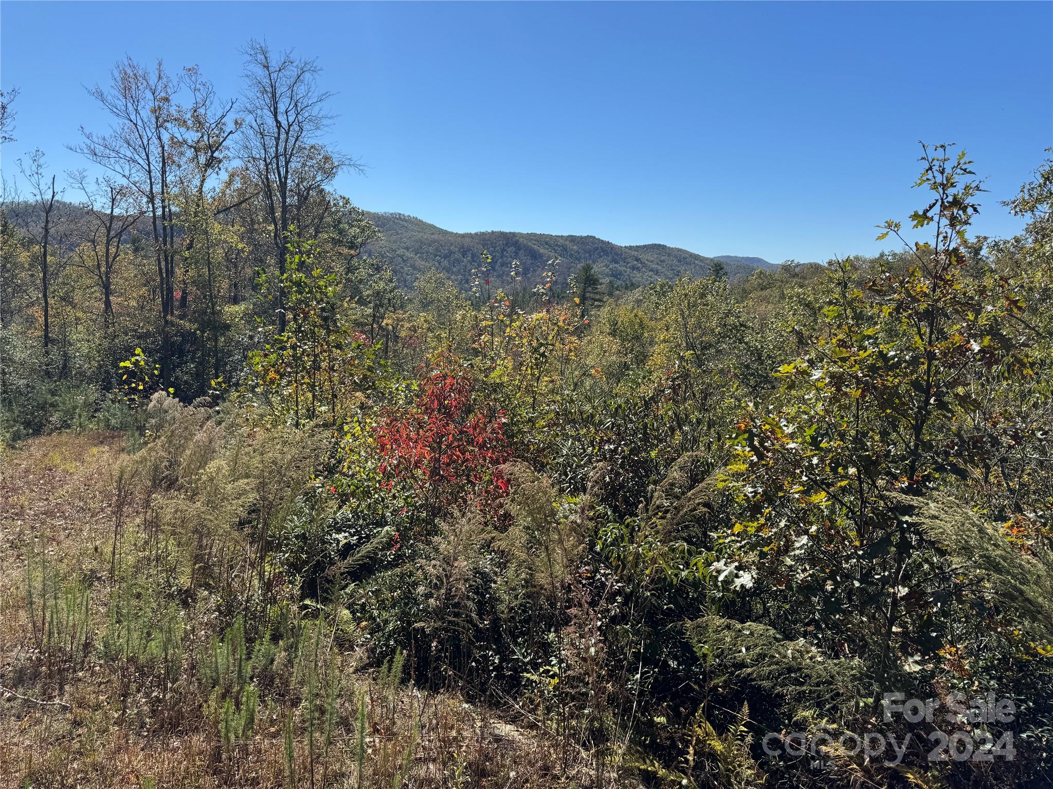 667 Laurel Thicket Lane Brevard NC 28712