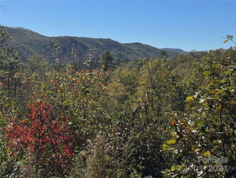 667 Laurel Thicket Lane Brevard NC 28712