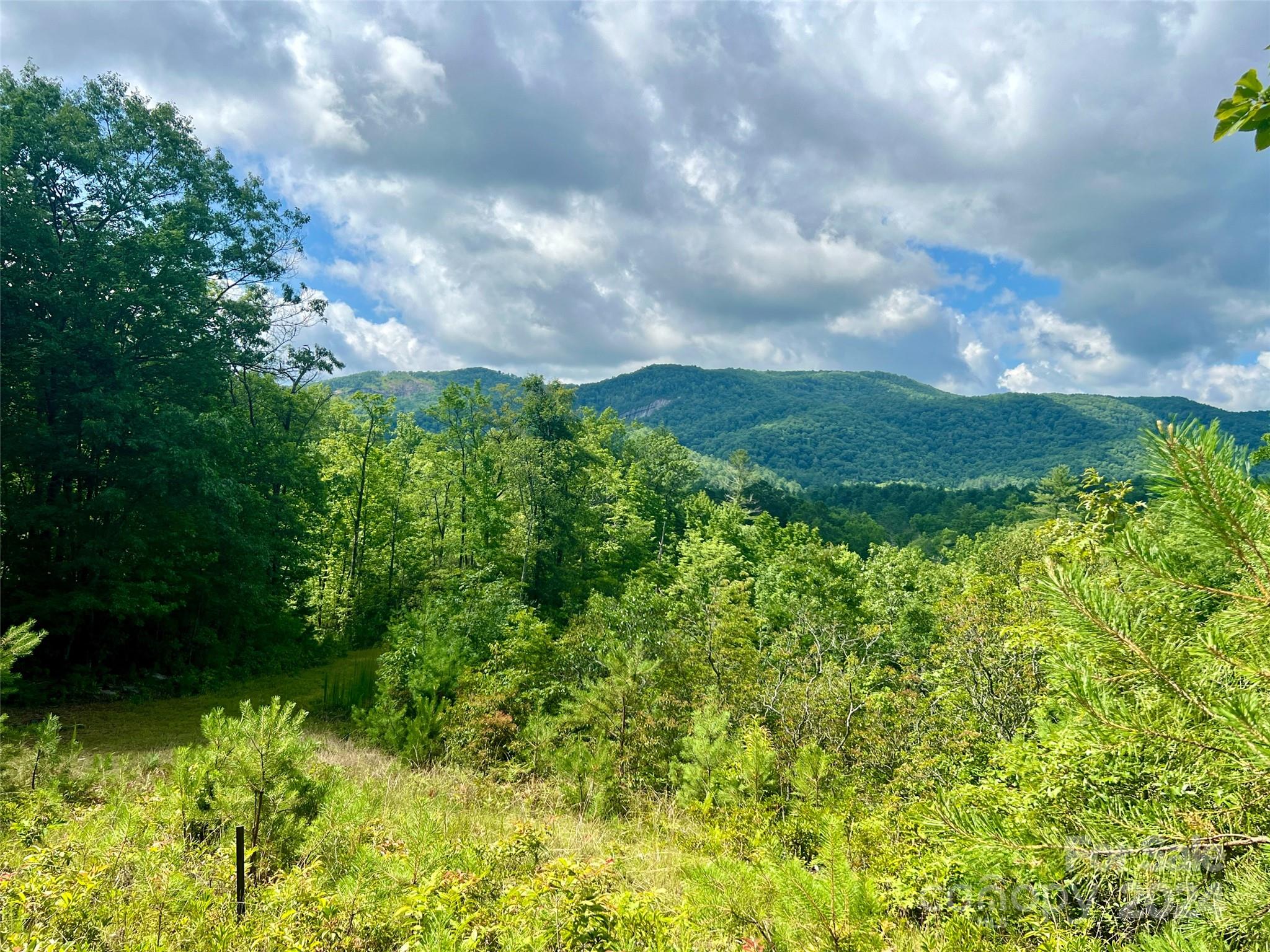 667 Laurel Thicket Lane Brevard NC 28712