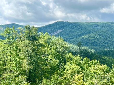 667 Laurel Thicket Lane Brevard NC 28712