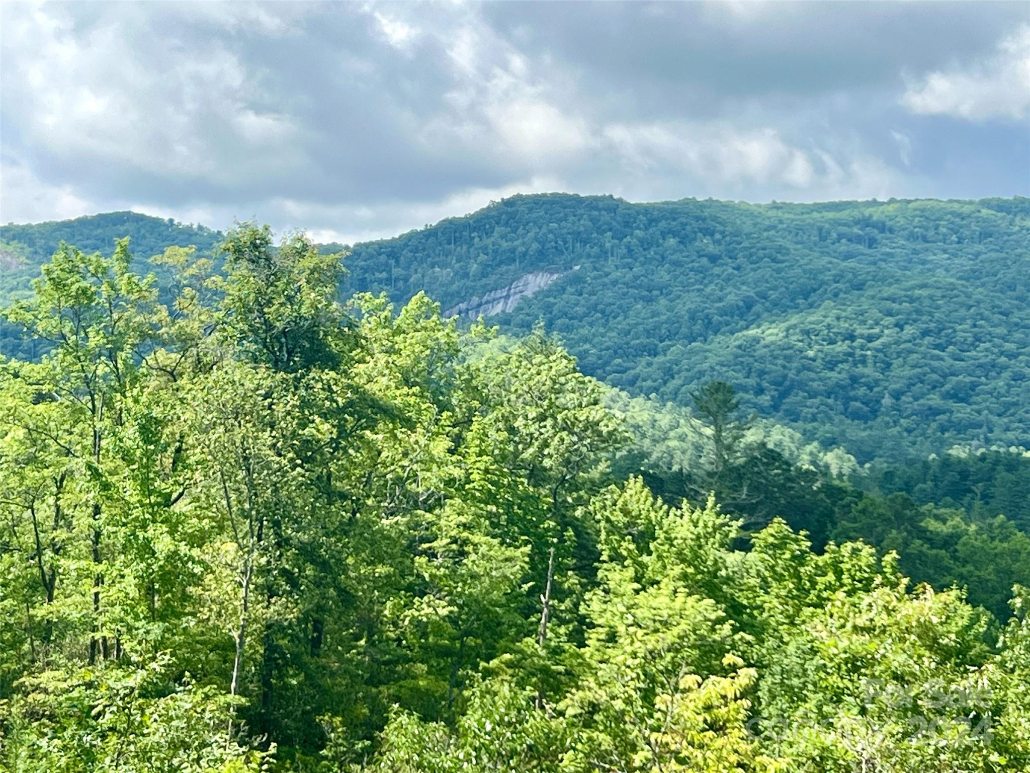 667 Laurel Thicket Lane Brevard NC 28712