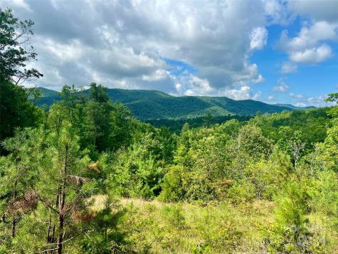 667 Laurel Thicket Lane Brevard NC 28712