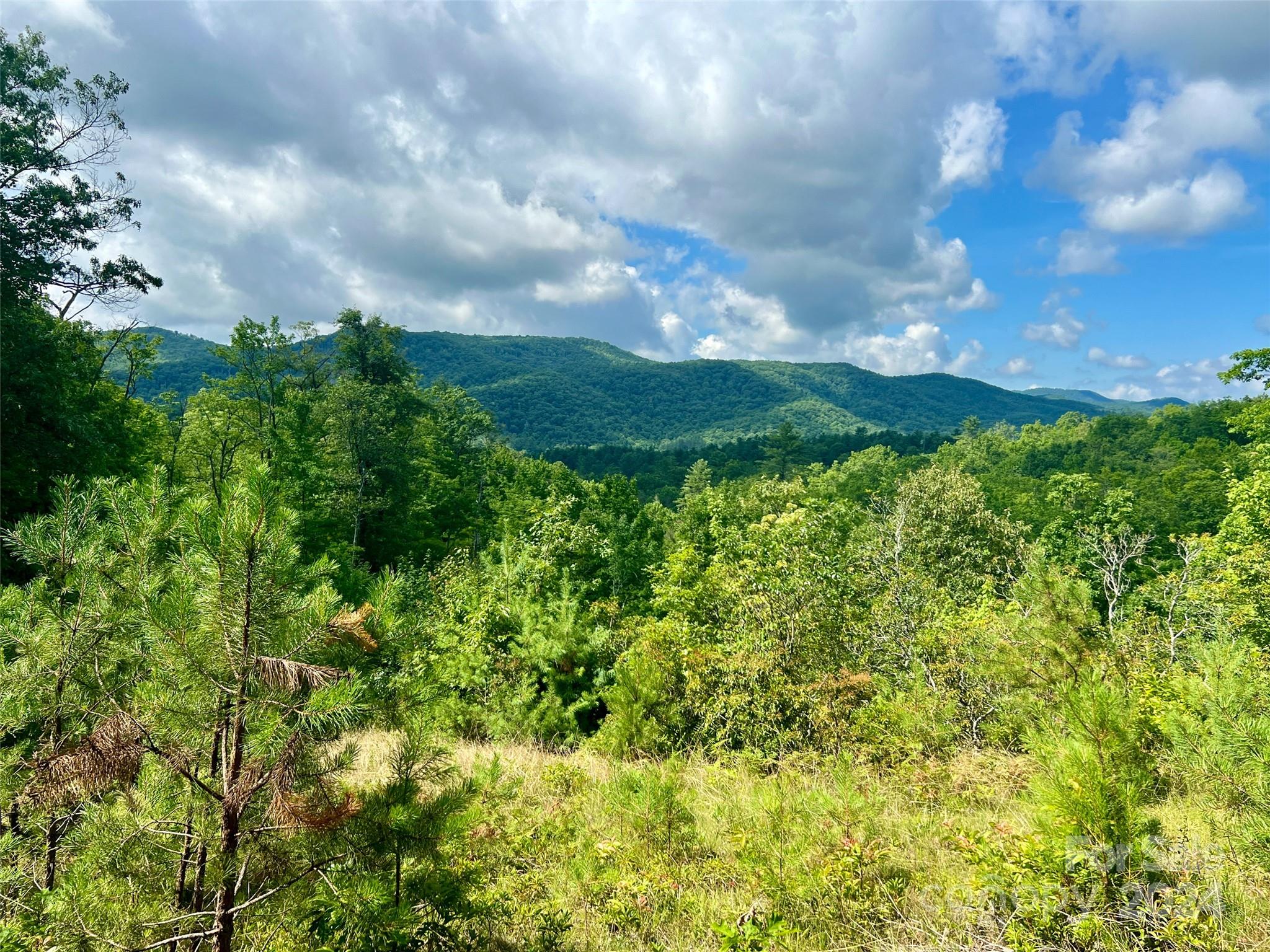 667 Laurel Thicket Lane Brevard NC 28712