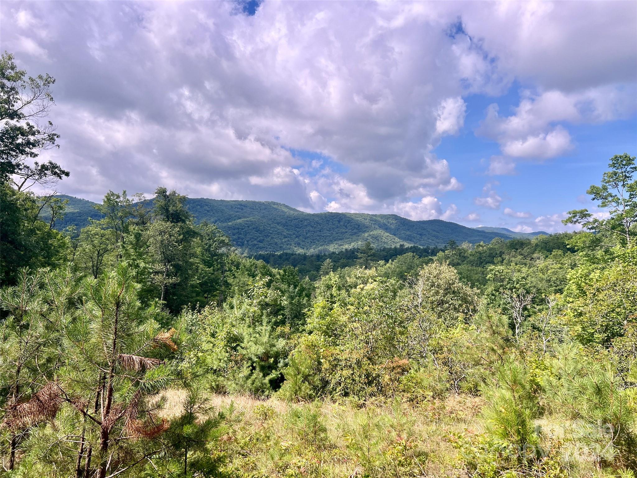 667 Laurel Thicket Lane Brevard NC 28712