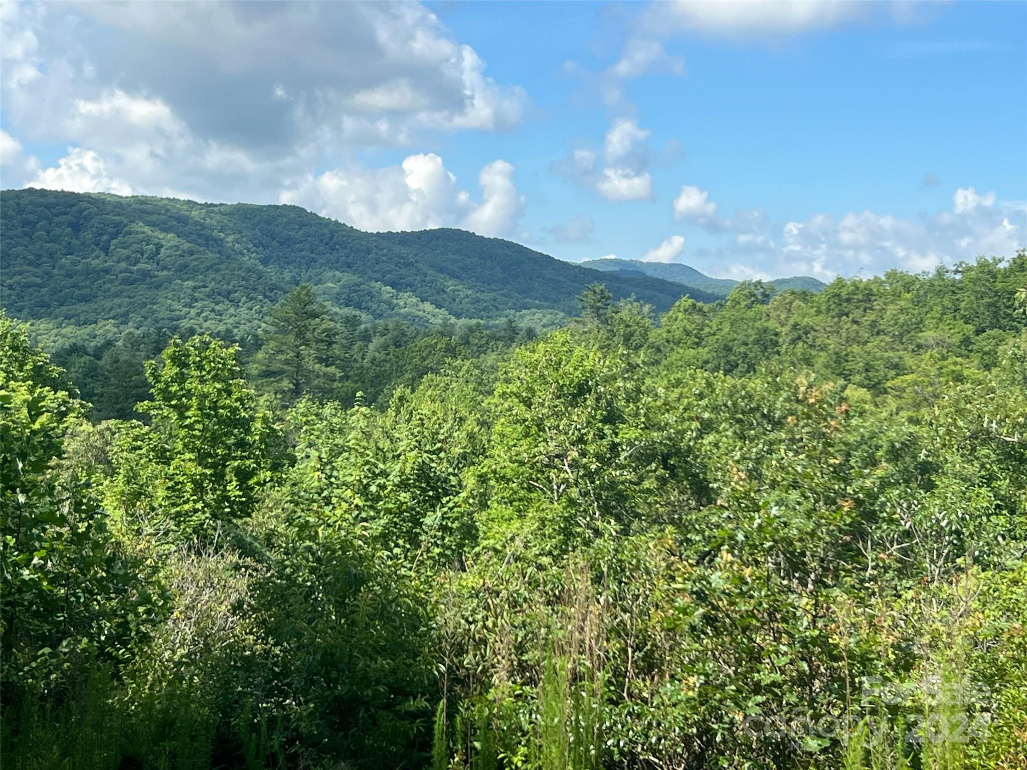 667 Laurel Thicket Lane Brevard NC 28712