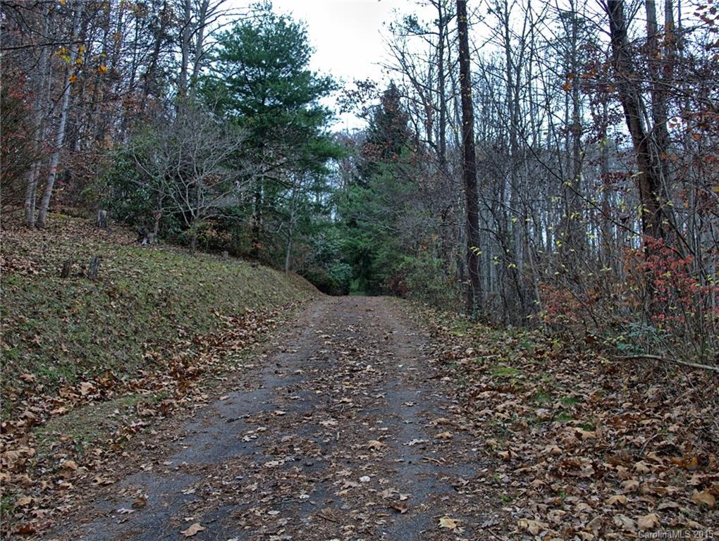 75 Forrest Lane Candler NC 28715