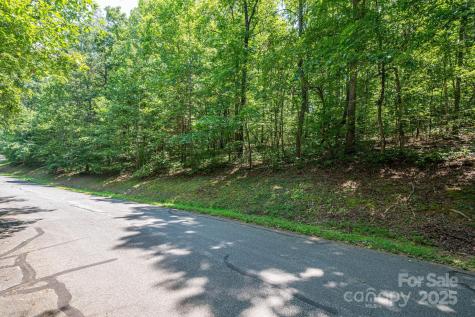 Lot #49 Moss Drive Rutherfordton NC 28139
