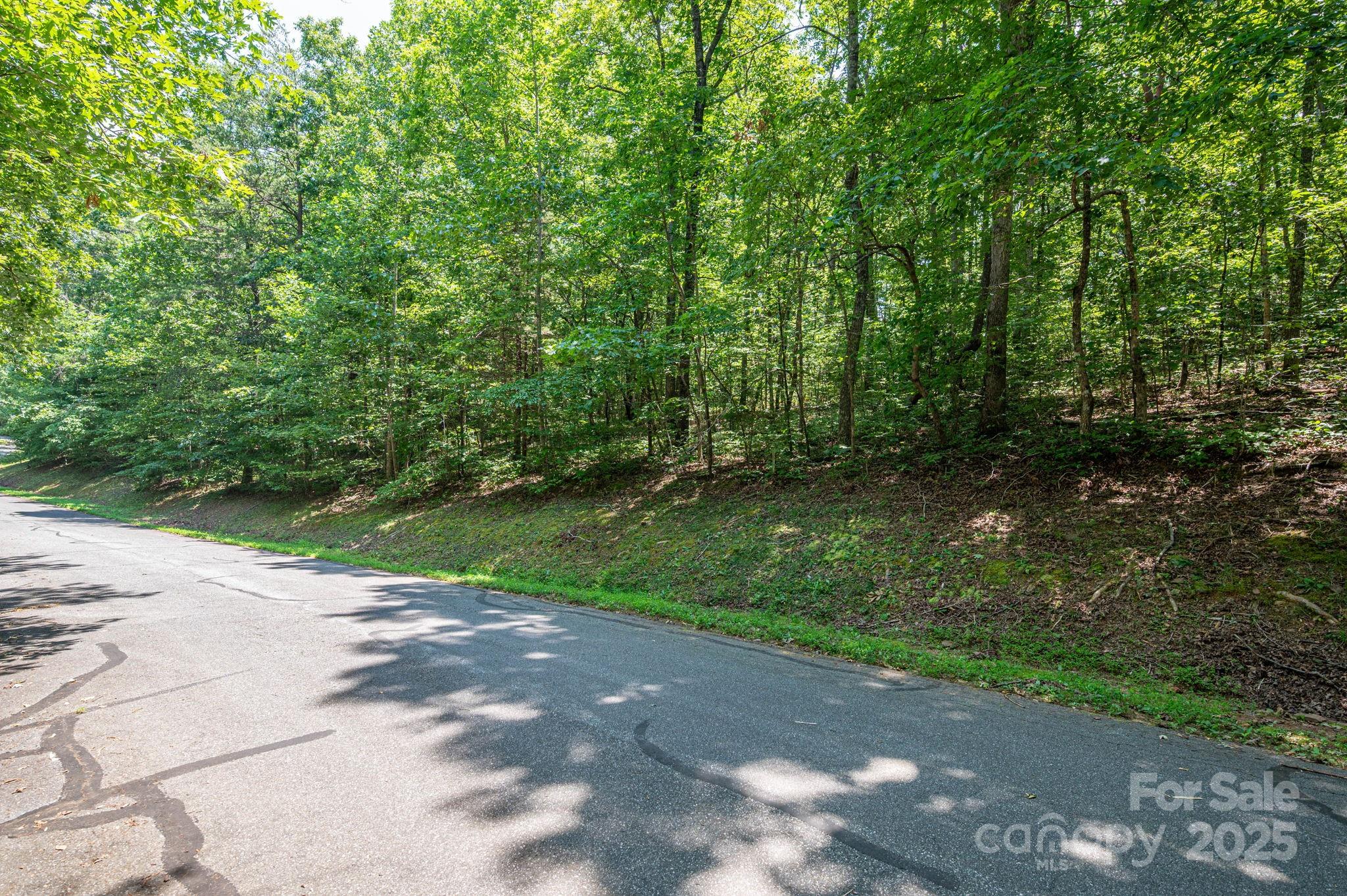 Lot #49 Moss Drive Rutherfordton NC 28139