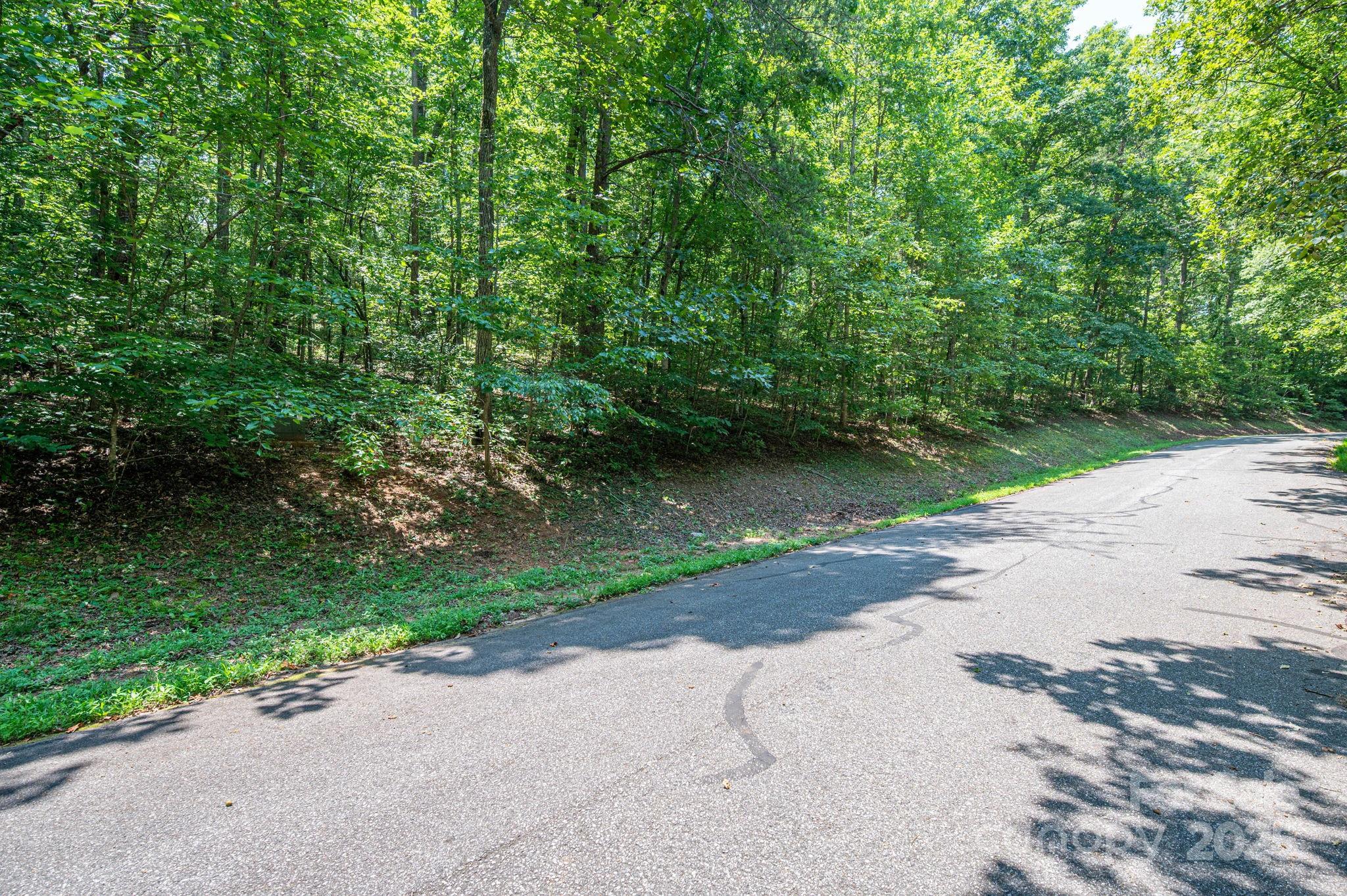 Lot #49 Moss Drive Rutherfordton NC 28139