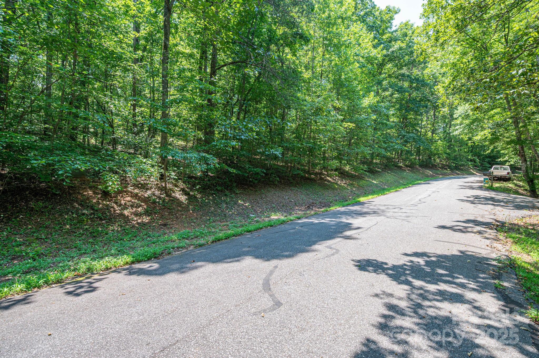 Lot #49 Moss Drive Rutherfordton NC 28139
