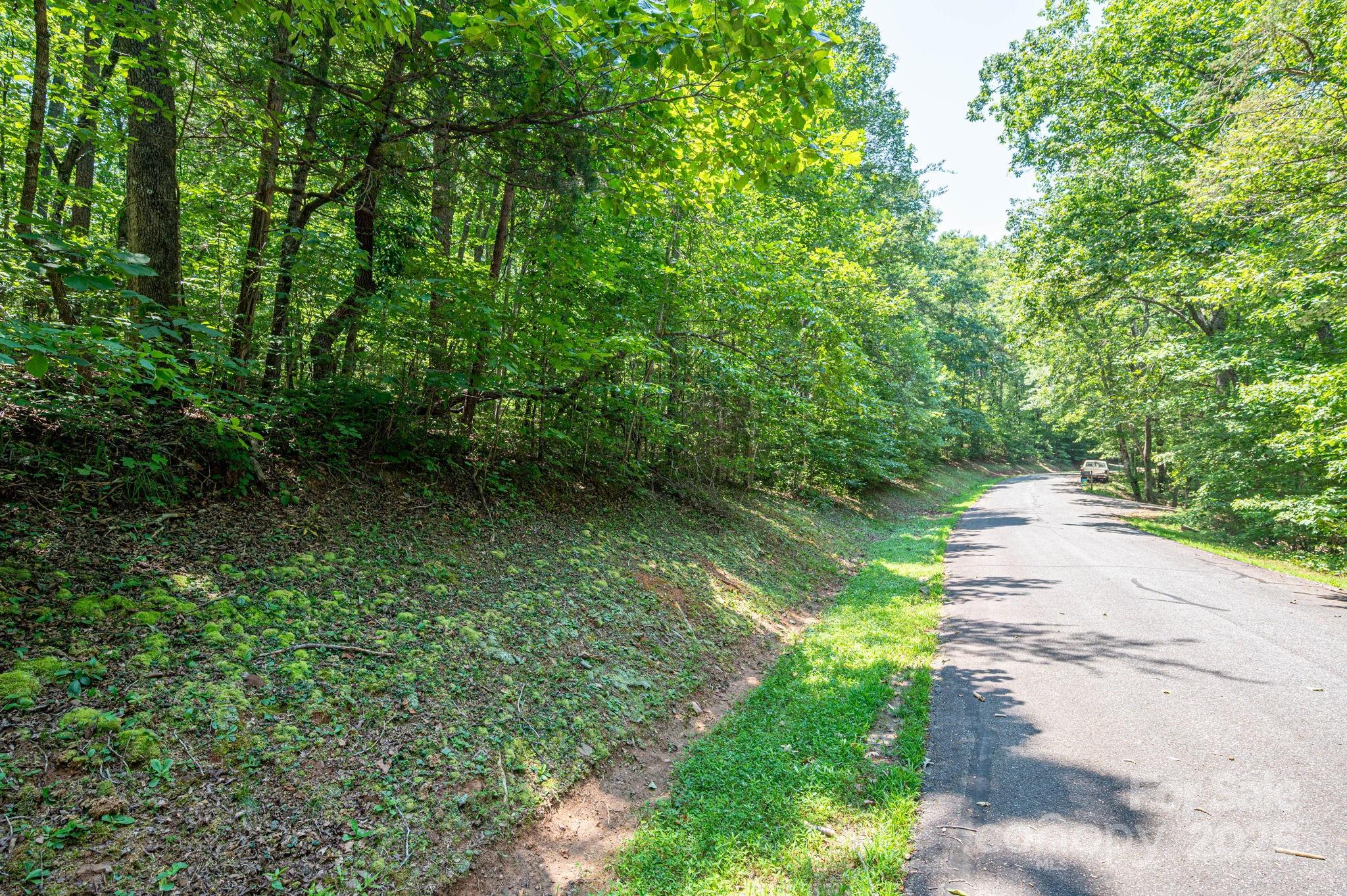Lot #49 Moss Drive Rutherfordton NC 28139