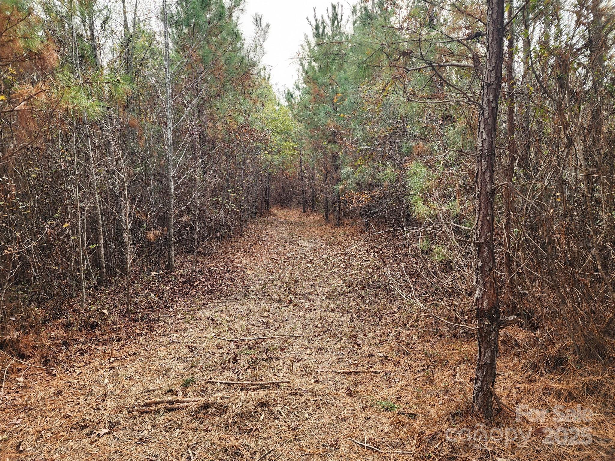 2351 Reges Store Road Nashville NC 27856